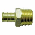 Conbraco Industries Adapter Pex Male Brass 1/2inch CPXMA1212